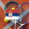 Gde gledati Davis Cup u Srbiji